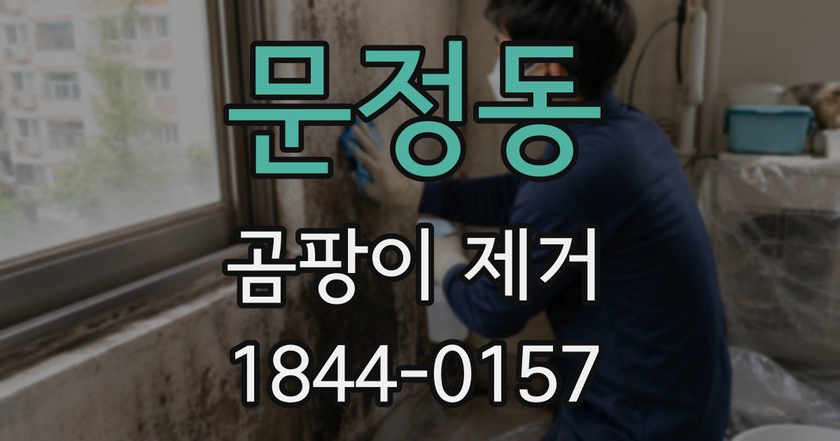 문정동 곰팡이 제거