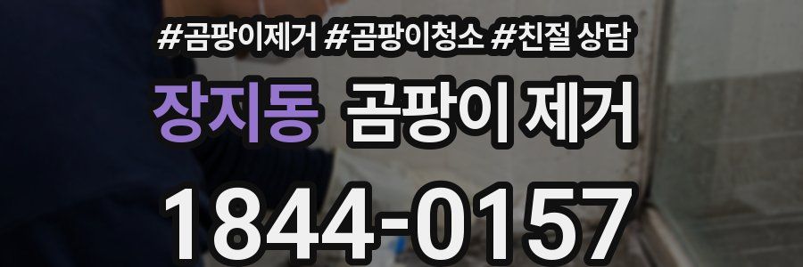 장지동 곰팡이 제거