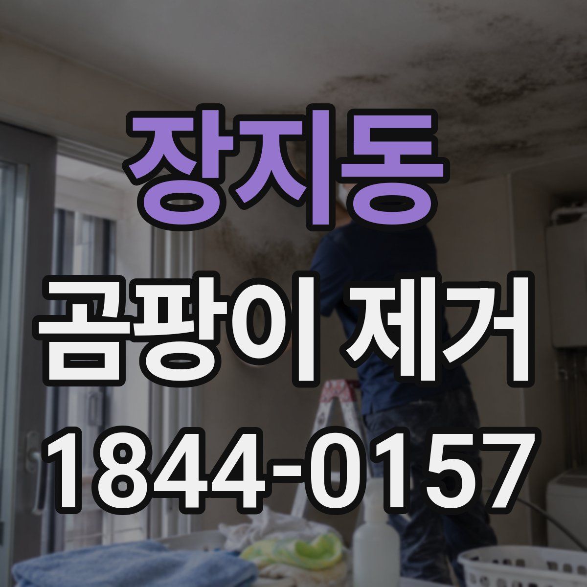 장지동 곰팡이 제거