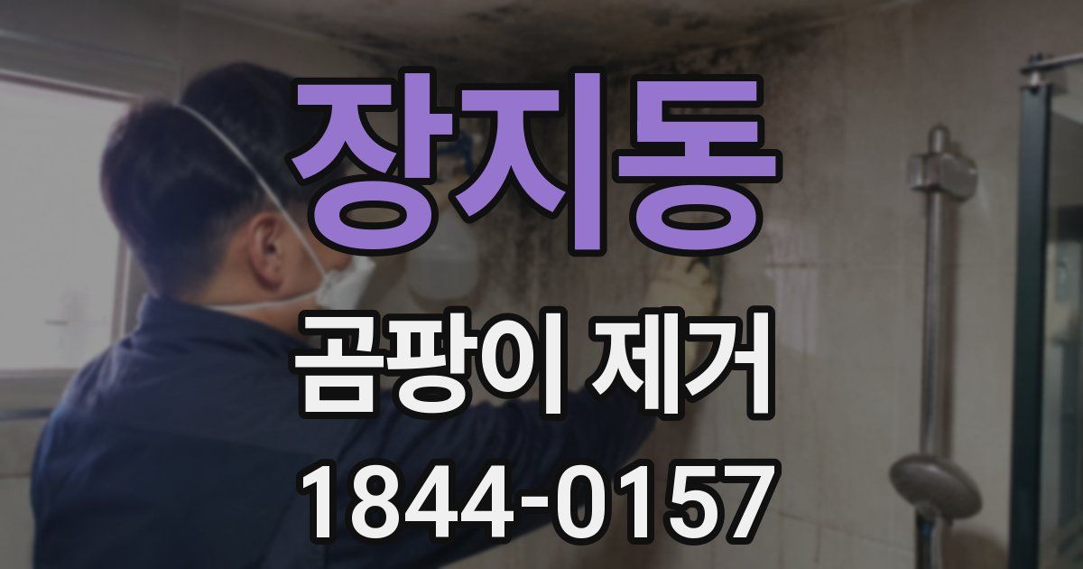 장지동 곰팡이 제거