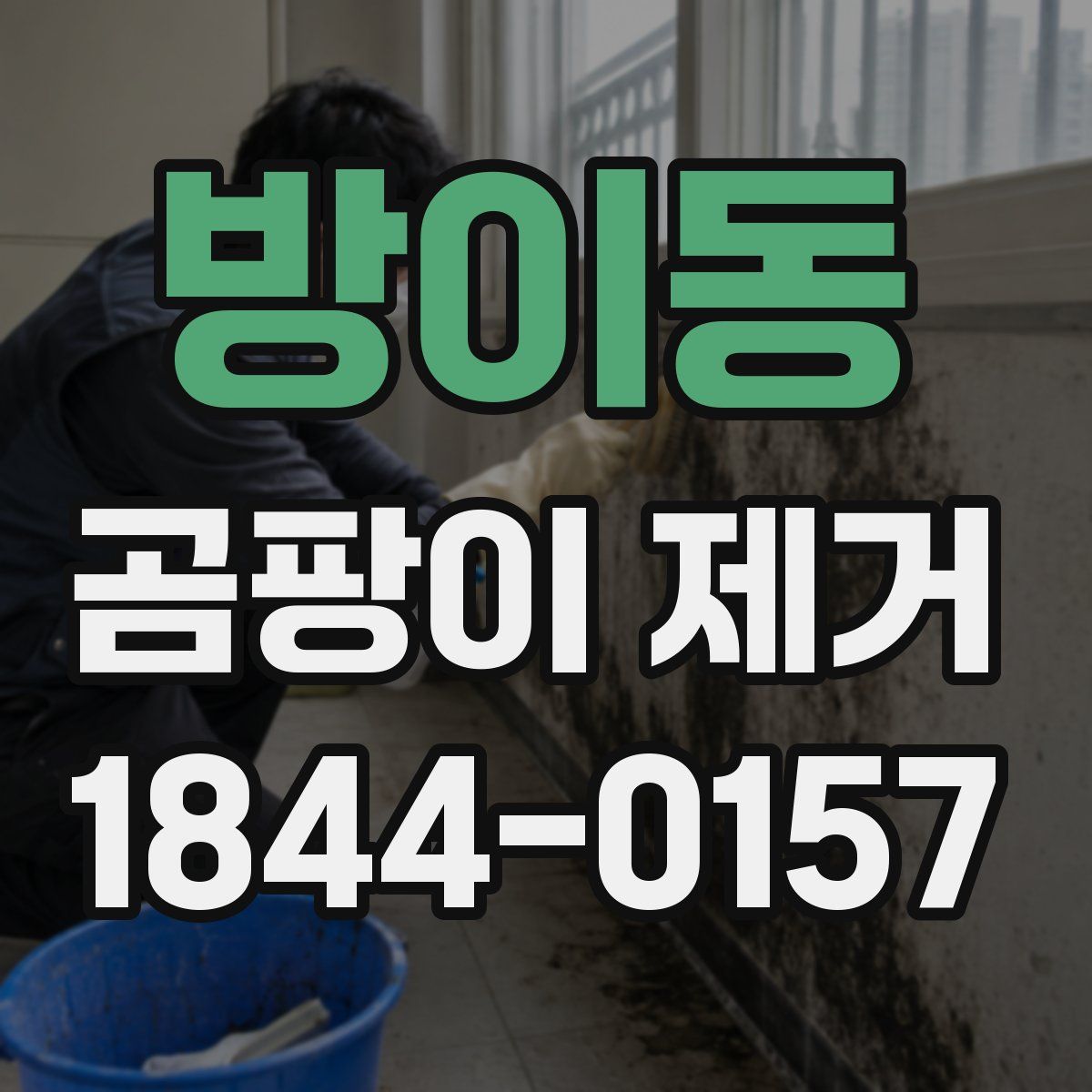 방이동 곰팡이 제거