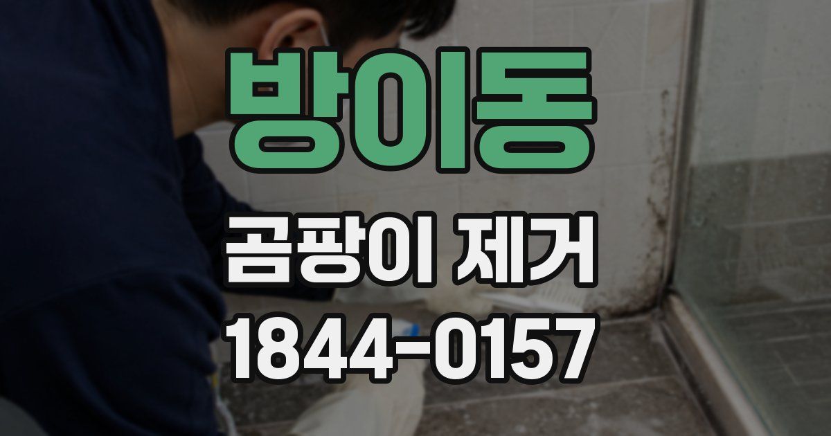 방이동 곰팡이 제거