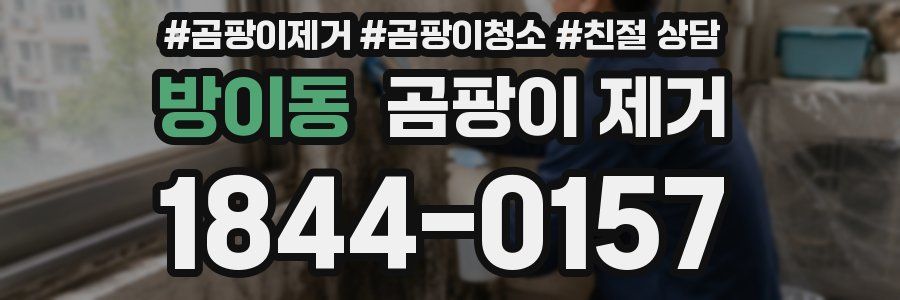 방이동 곰팡이 제거