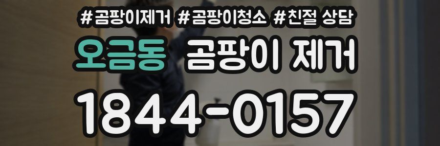 오금동 곰팡이 제거