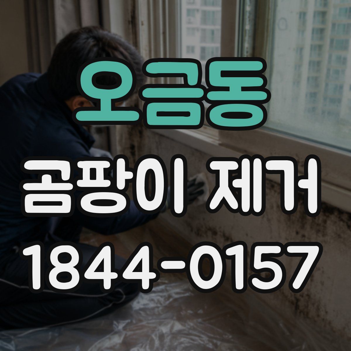 오금동 곰팡이 제거