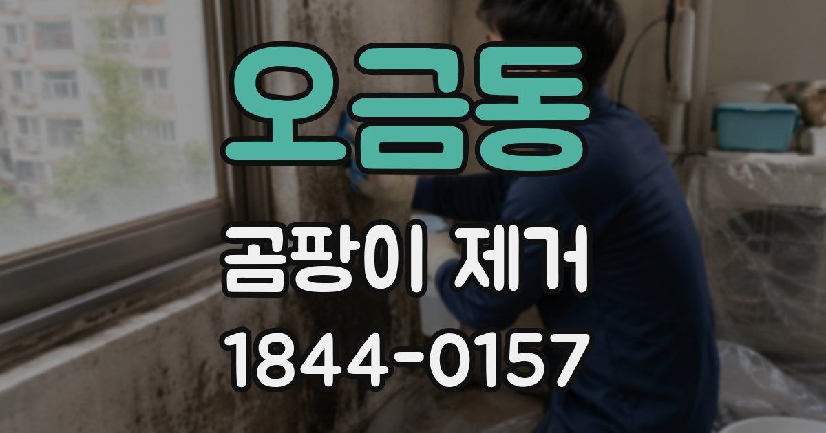 오금동 곰팡이 제거