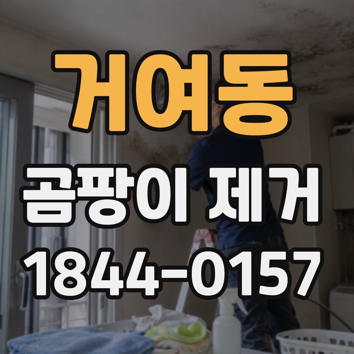거여동 곰팡이 제거
