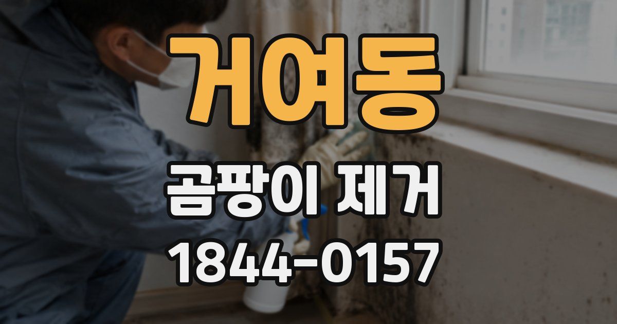 거여동 곰팡이 제거