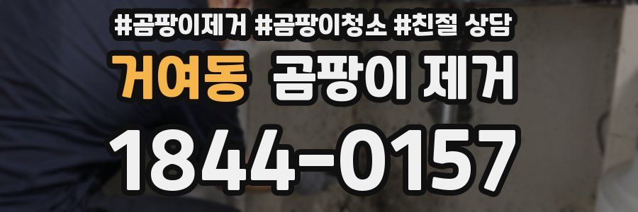거여동 곰팡이 제거