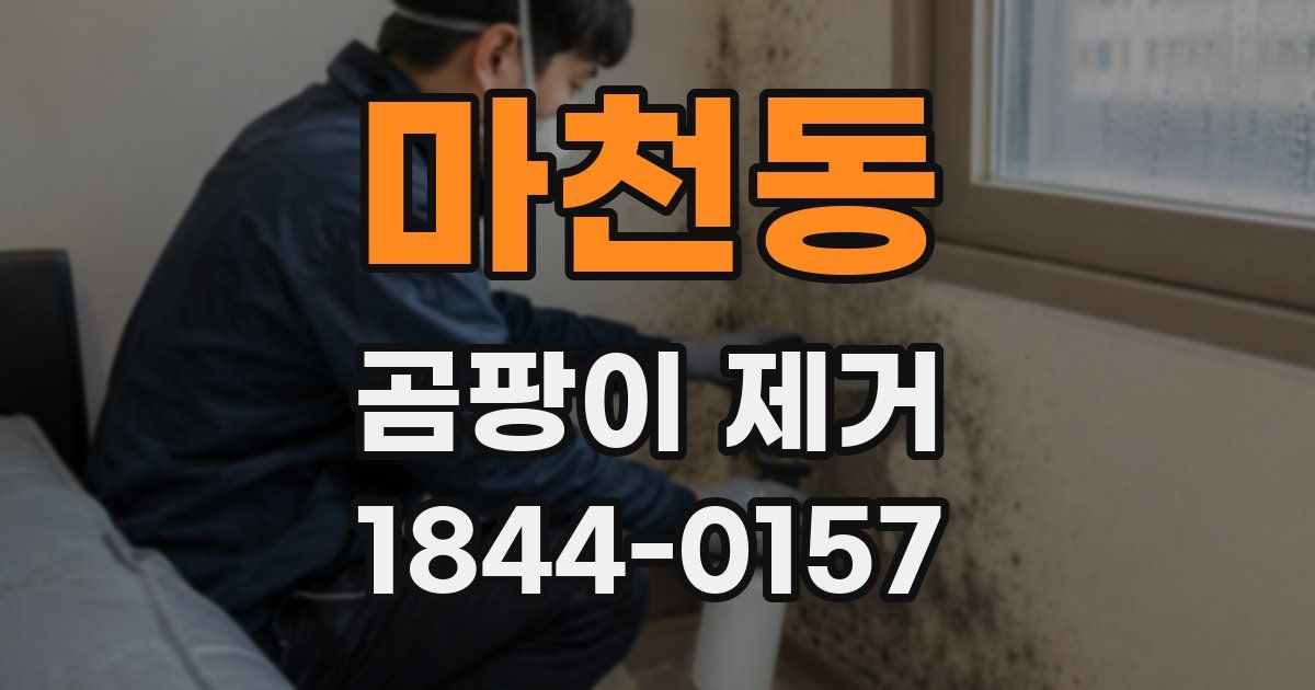 마천동 곰팡이 제거