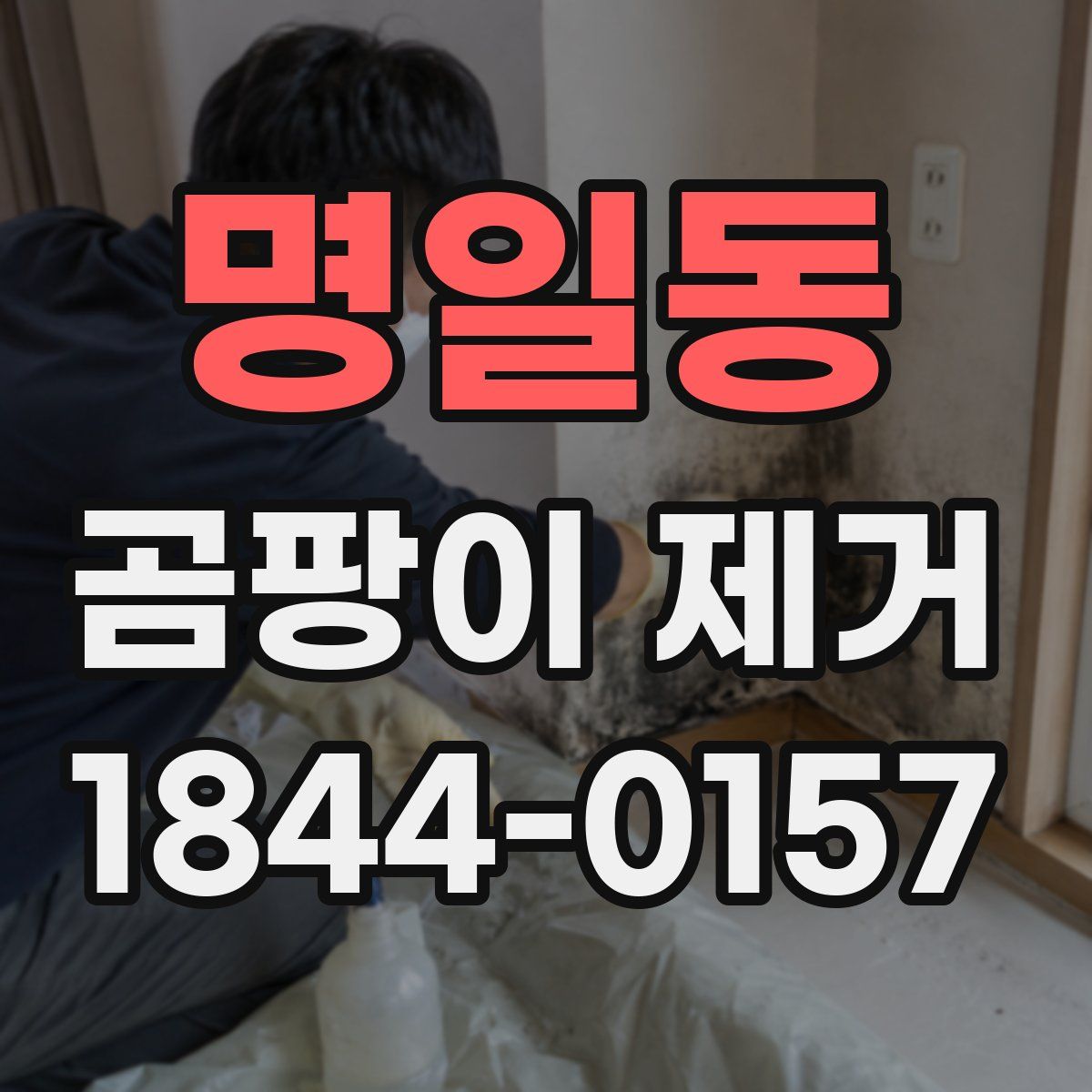 명일동 곰팡이 제거