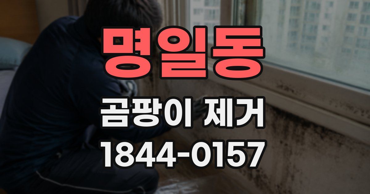 명일동 곰팡이 제거