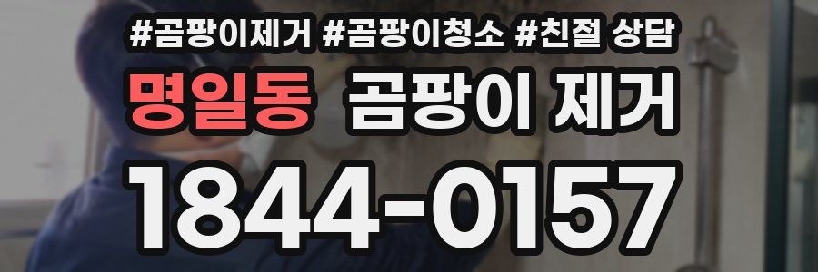 명일동 곰팡이 제거