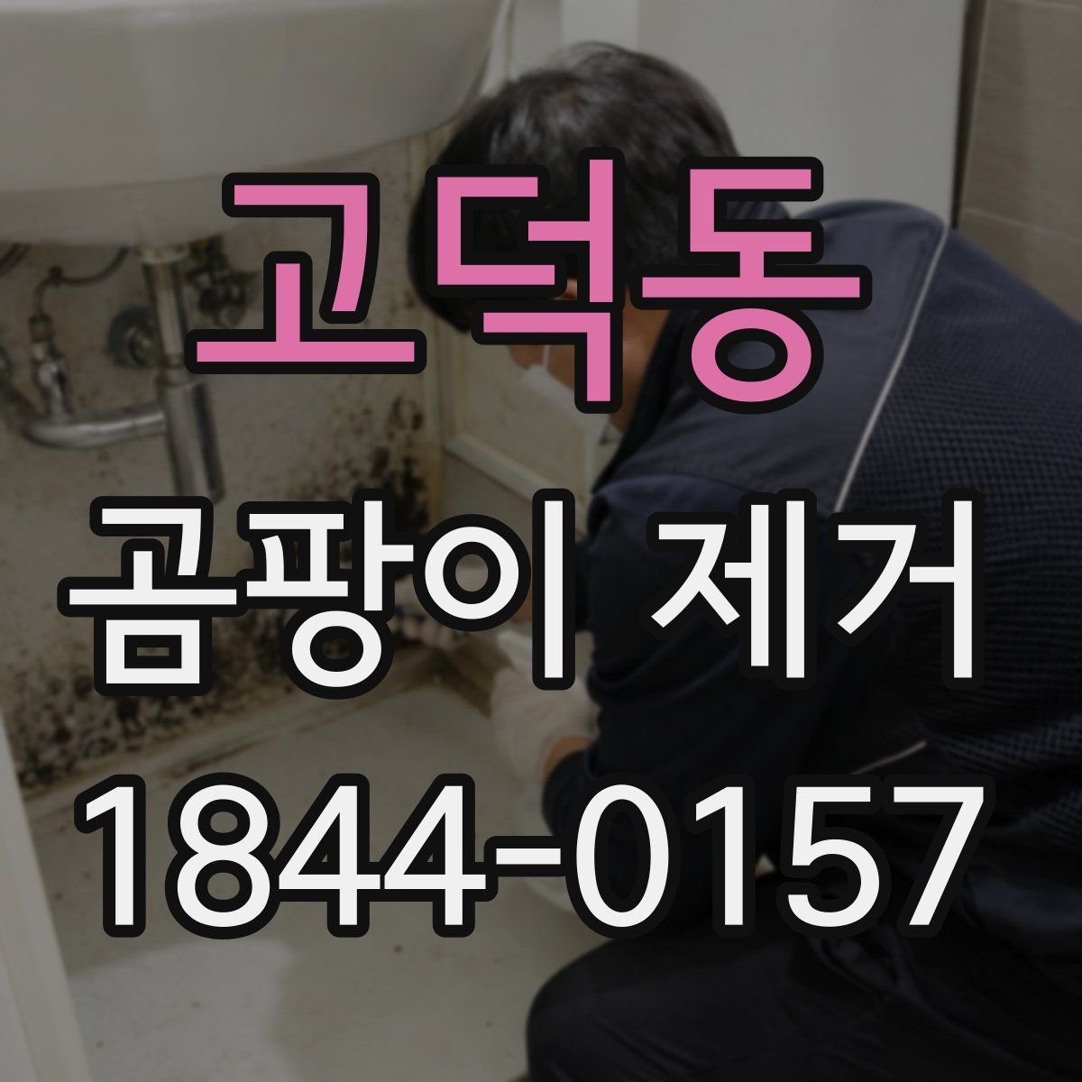 고덕동 곰팡이 제거