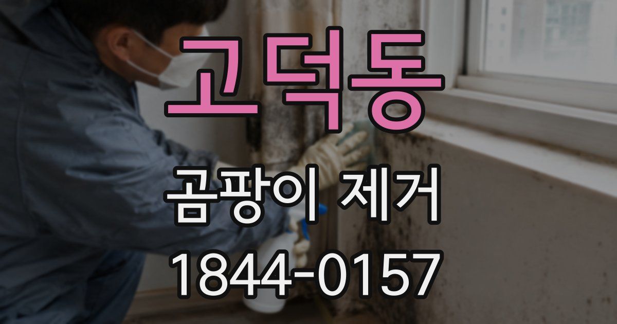 고덕동 곰팡이 제거