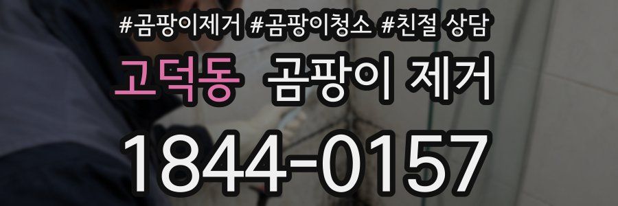 고덕동 곰팡이 제거