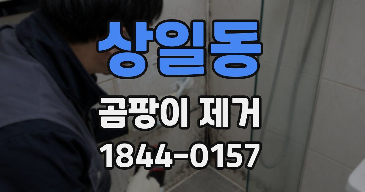 상일동 곰팡이 제거