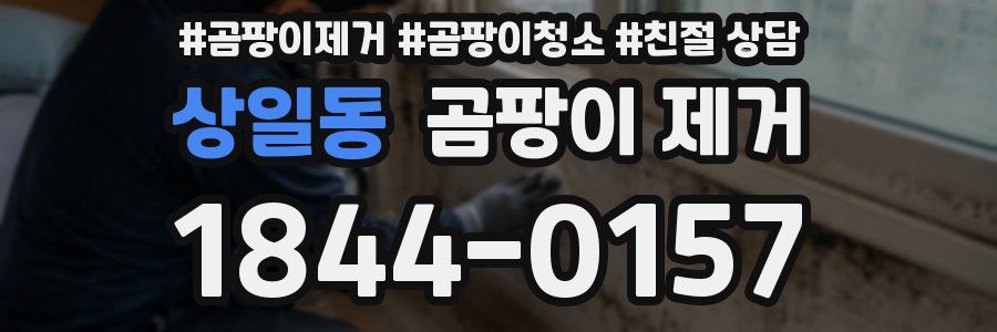 상일동 곰팡이 제거