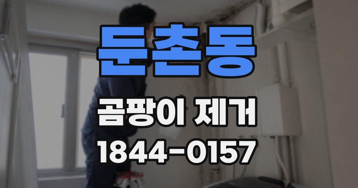 둔촌동 곰팡이 제거