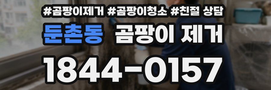 둔촌동 곰팡이 제거