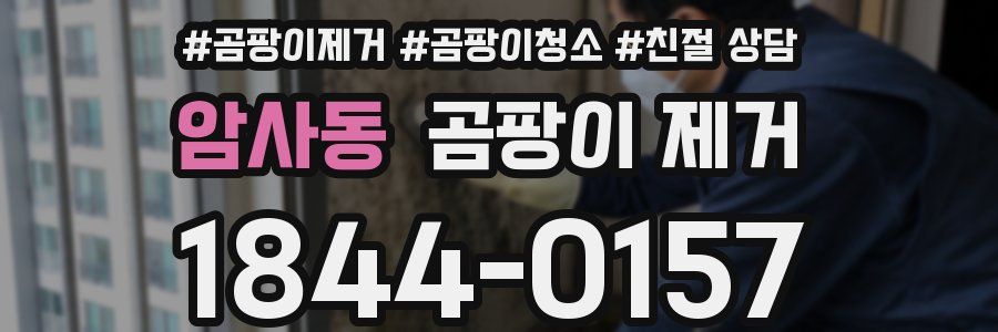 암사동 곰팡이 제거