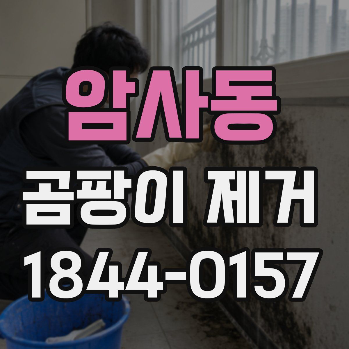 암사동 곰팡이 제거
