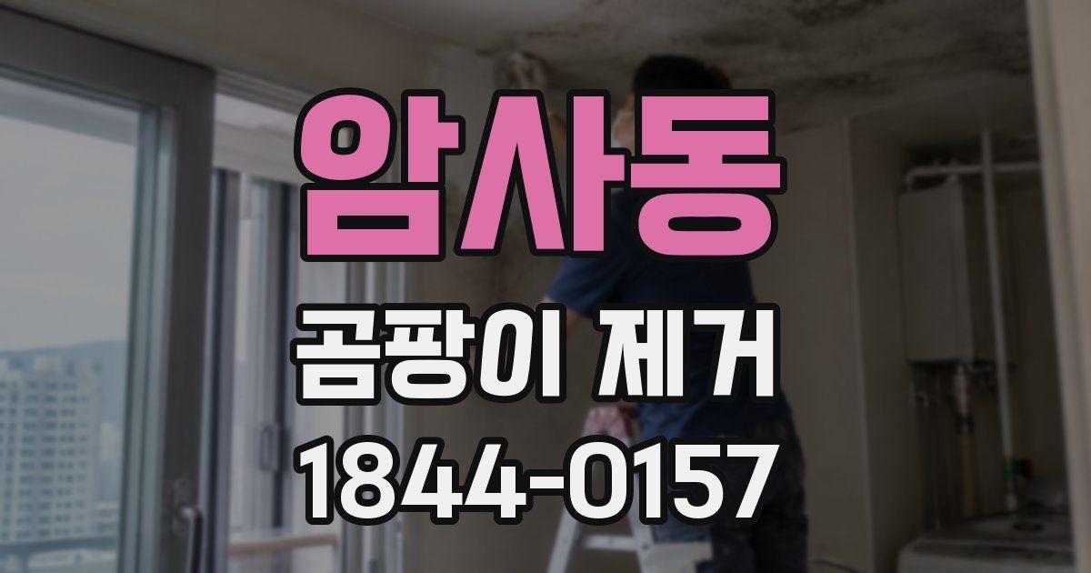 암사동 곰팡이 제거