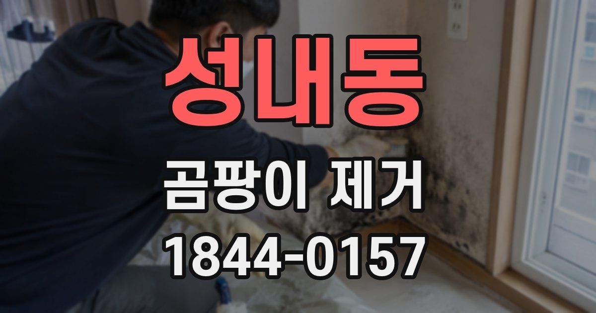 성내동 곰팡이 제거