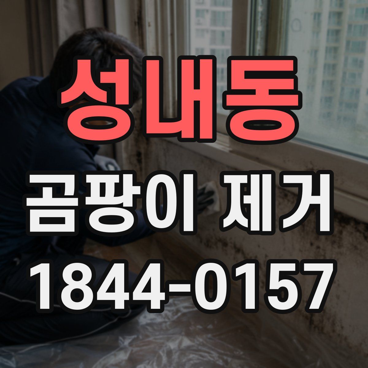 성내동 곰팡이 제거