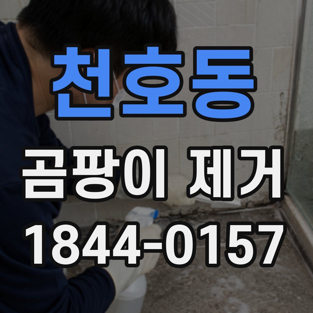 천호동 곰팡이 제거