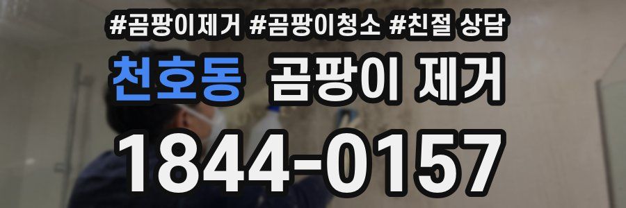 천호동 곰팡이 제거