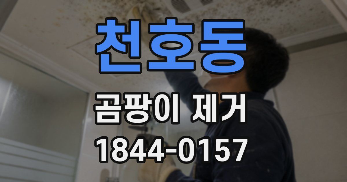 천호동 곰팡이 제거