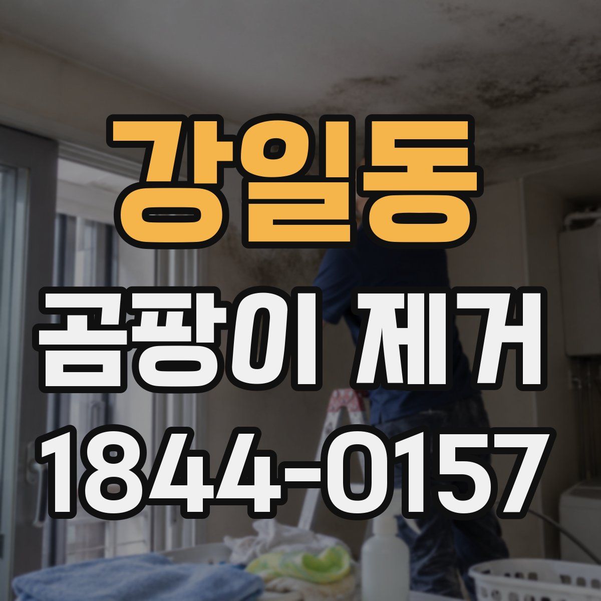강일동 곰팡이 제거