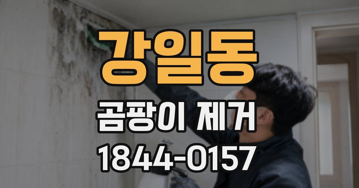 강일동 곰팡이 제거