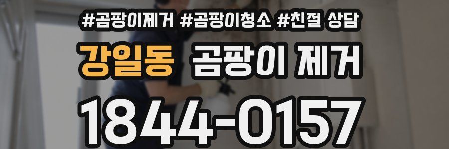 강일동 곰팡이 제거