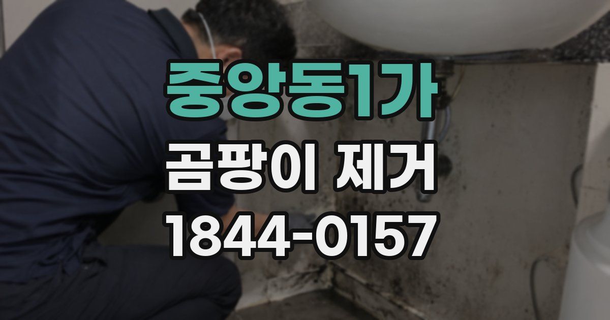 중앙동1가 곰팡이 제거