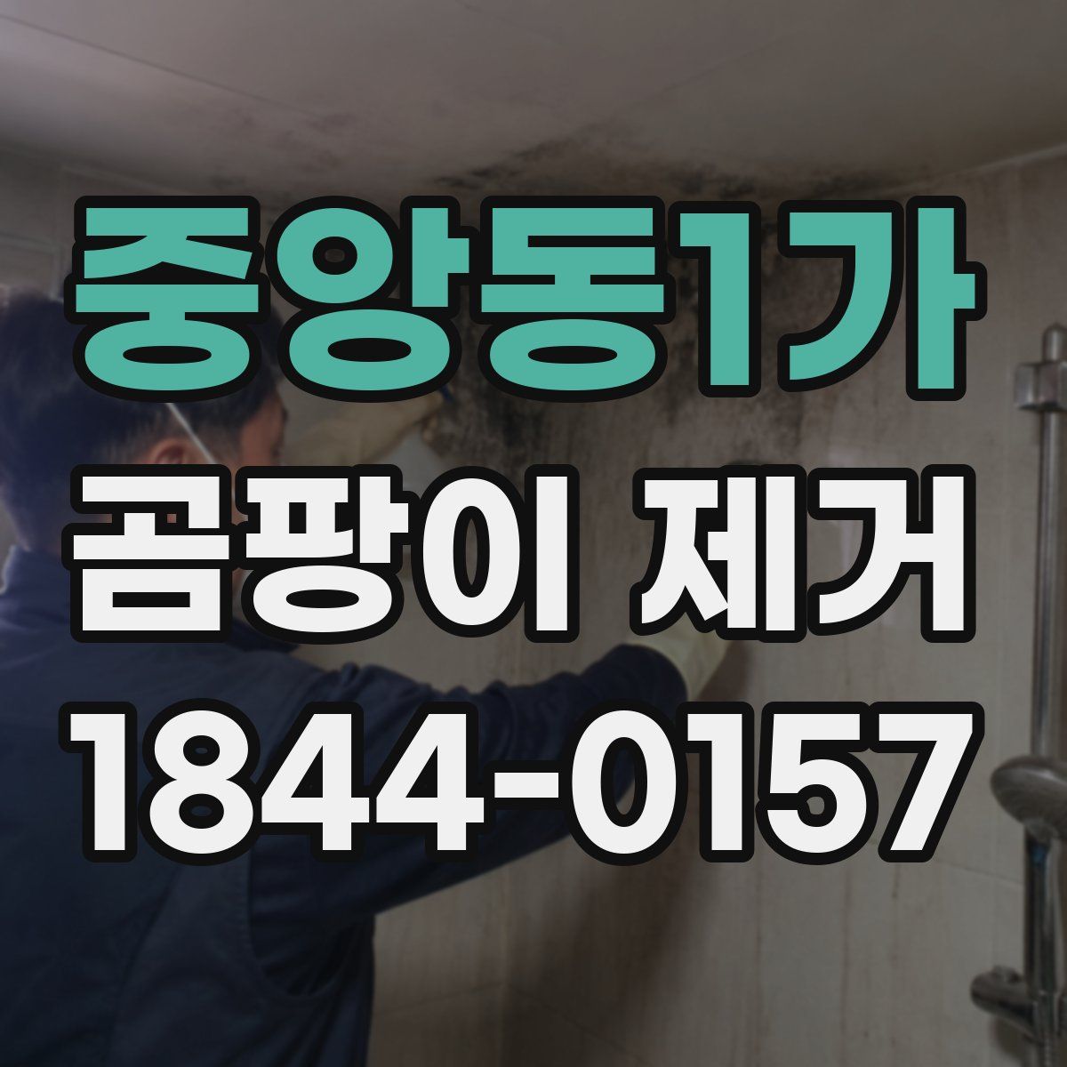 중앙동1가 곰팡이 제거