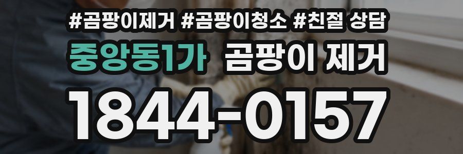 중앙동1가 곰팡이 제거