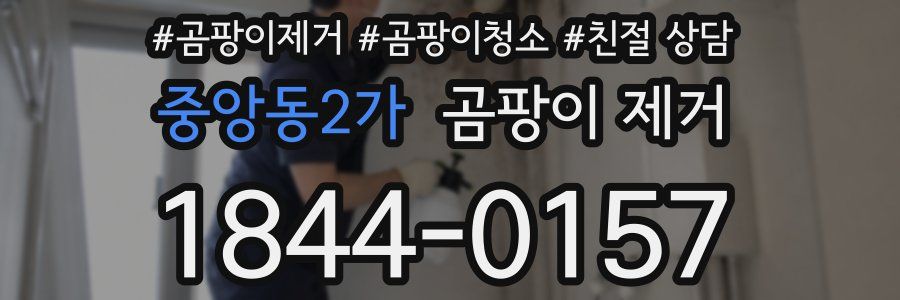 중앙동2가 곰팡이 제거