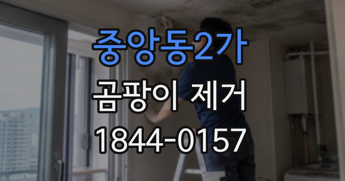중앙동2가 곰팡이 제거