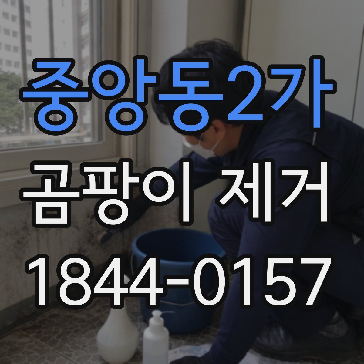 중앙동2가 곰팡이 제거
