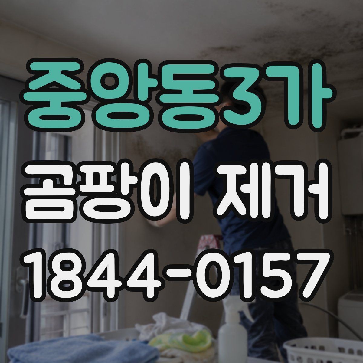 중앙동3가 곰팡이 제거 주택 유형별 관리 포인트