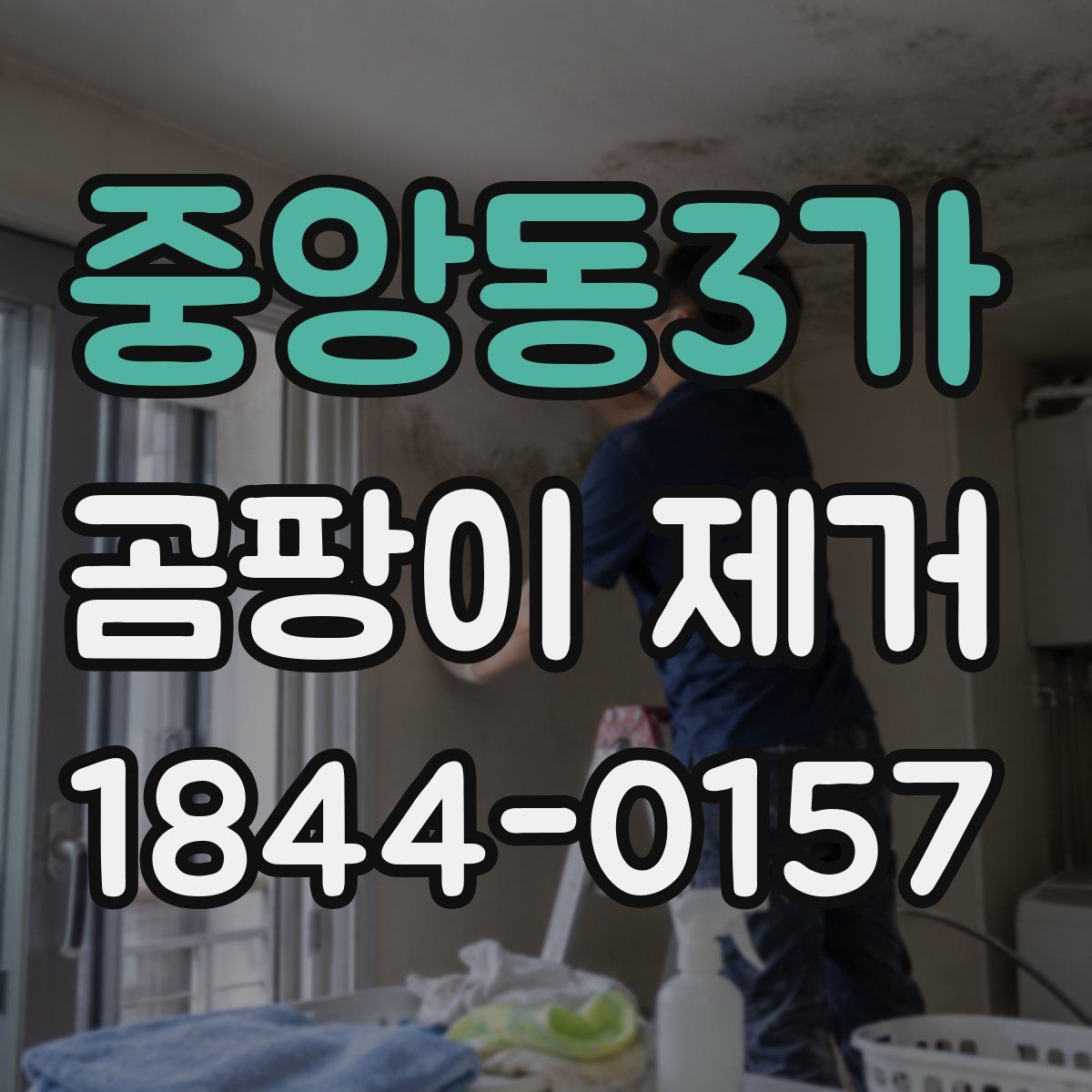 중앙동3가 곰팡이 제거