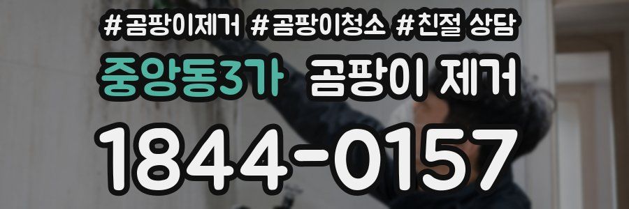 중앙동3가 곰팡이 제거