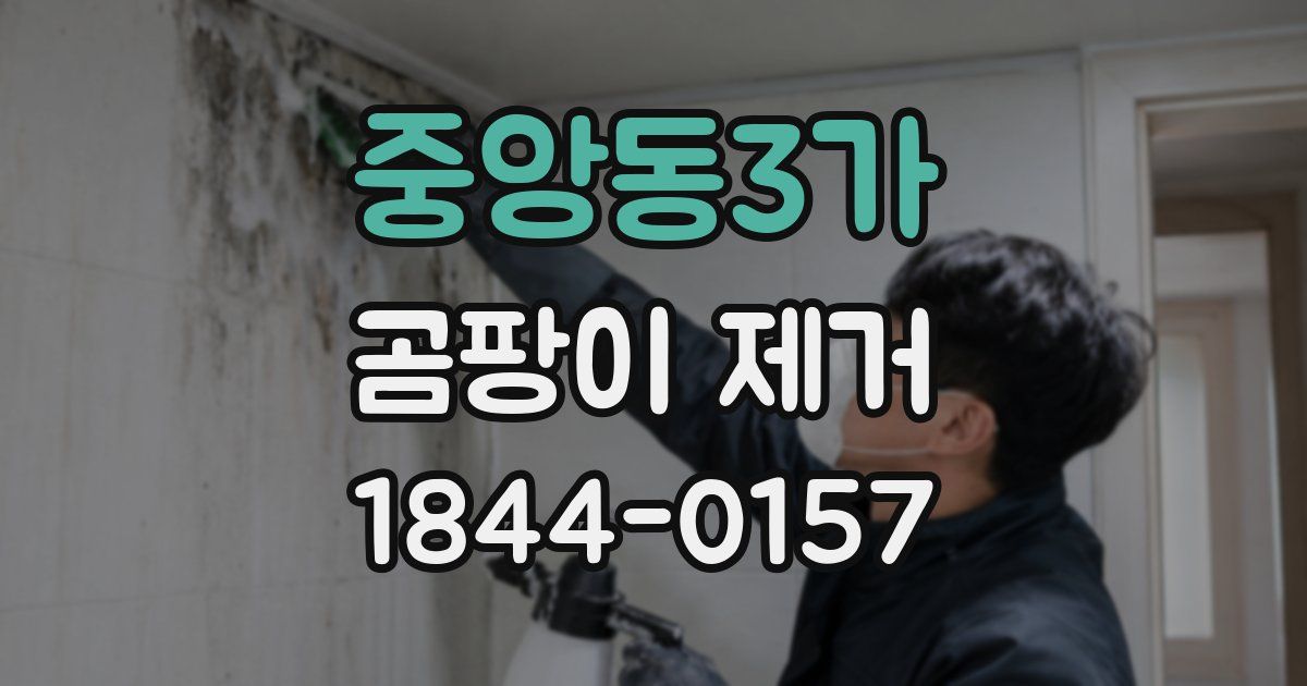 중앙동3가 곰팡이 제거