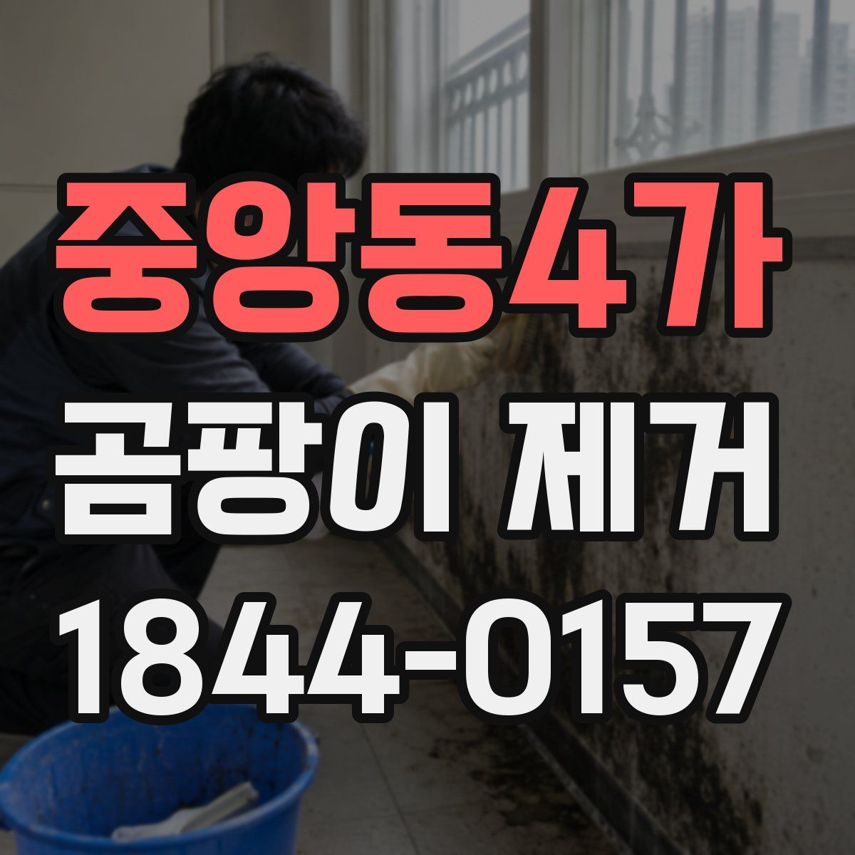 중앙동4가 곰팡이 제거