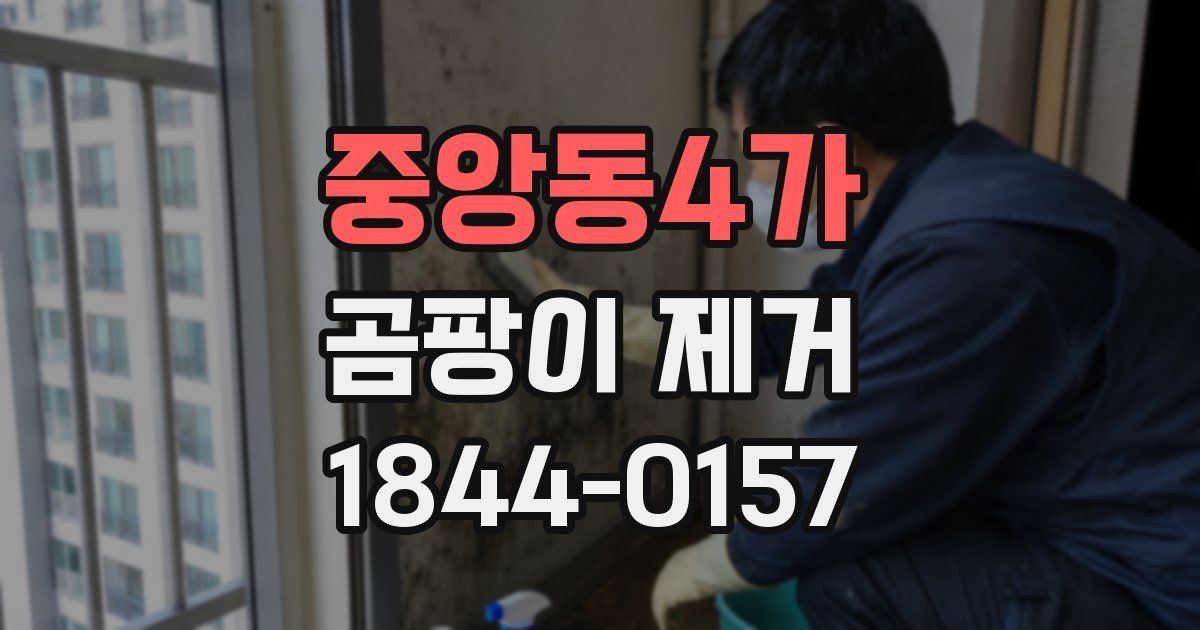 중앙동4가 곰팡이 제거