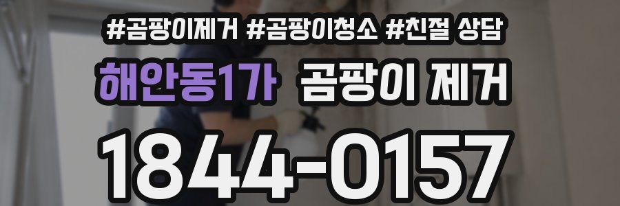 해안동1가 곰팡이 제거