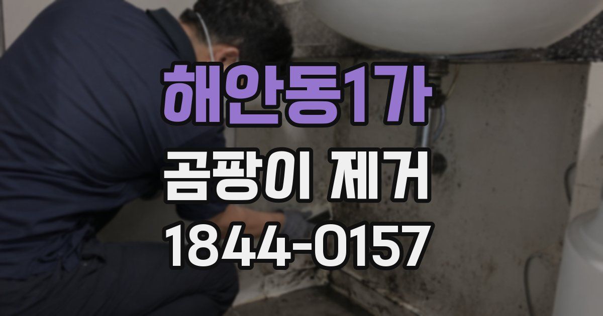 해안동1가 곰팡이 제거