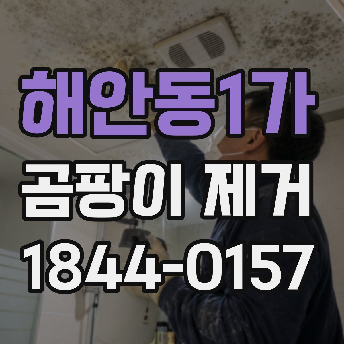 해안동1가 곰팡이 제거